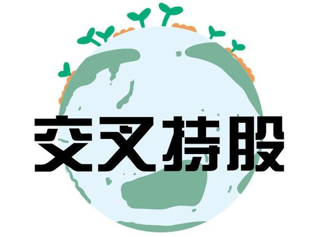 交叉持股安排设计(交叉持股怎么计算持股比例)承德市